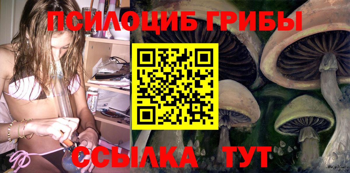 Миллерово  Галлюциногенные грибы MAGIC MUSHROOMS  Вход с VPN  где купить   Галлюциногенные грибы MAGIC MUSHROOMS 
