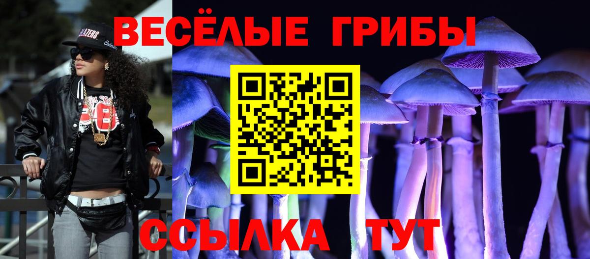 Псилоцибиновые грибы Psilocybe Миллерово